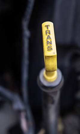 Bayoneta Líquido Transmisión