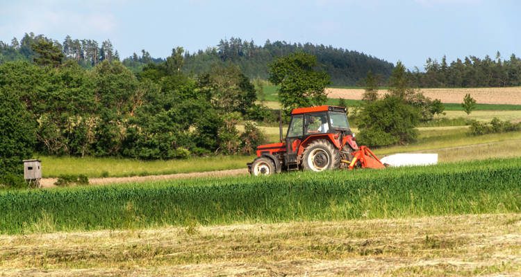 Tractor Mantenimiento Primavera