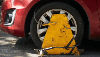 ¿Qué Hacer si te Ponen la Araña?