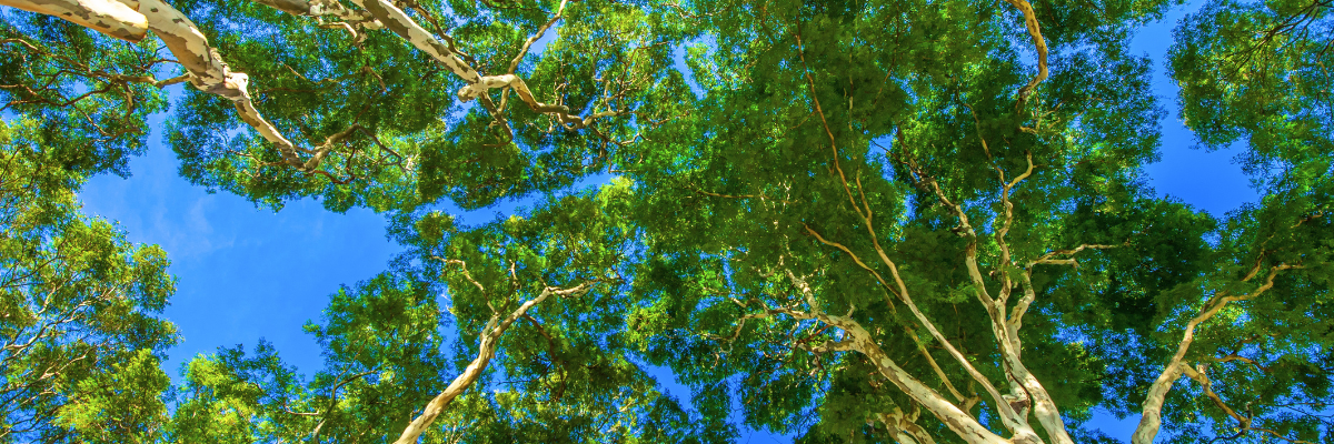 ¿Cómo afecta el aceite lubricante usado al medio ambiente y cómo desecharlo correctamente?