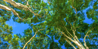 ¿Cómo afecta el aceite lubricante usado al medio ambiente y cómo desecharlo correctamente?